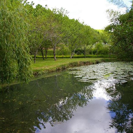 La Source De Bury Bed and Breakfast Chambon-sur-Cisse Buitenkant foto