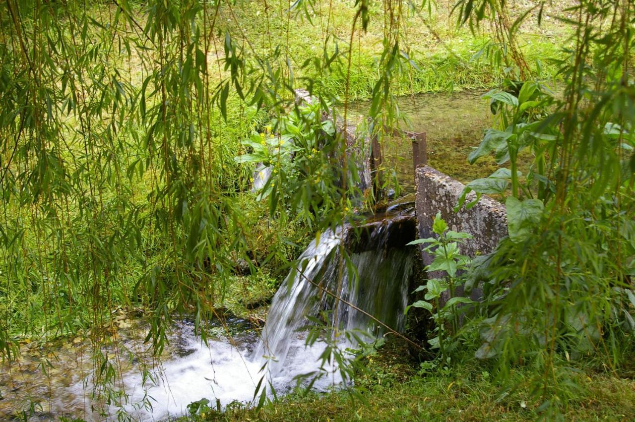 La Source De Bury Bed and Breakfast Chambon-sur-Cisse Buitenkant foto