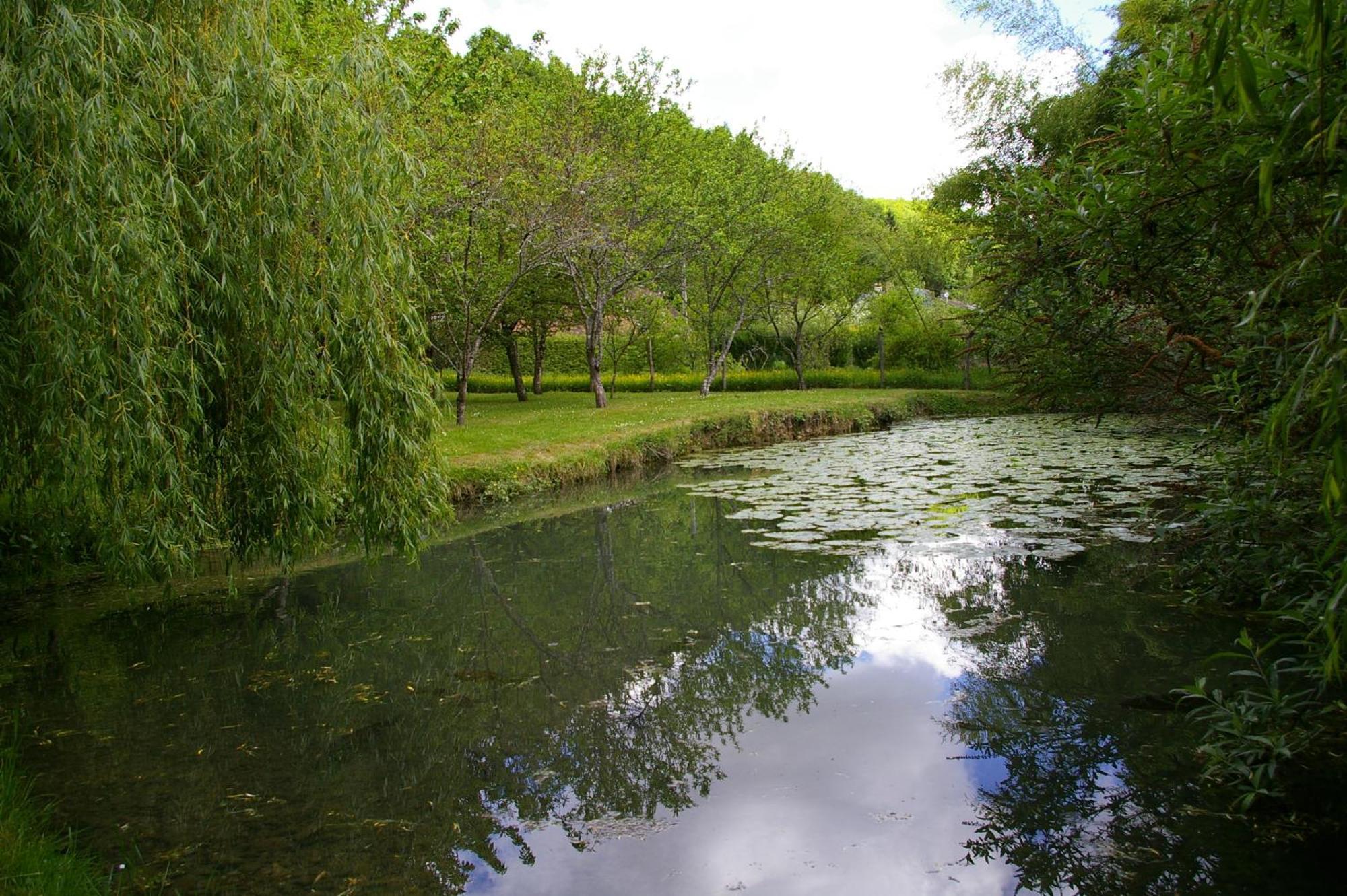 La Source De Bury Bed and Breakfast Chambon-sur-Cisse Buitenkant foto